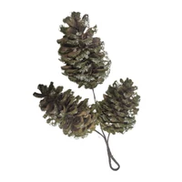 Tobozok mohával (11 cm) 3 db