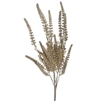 Pezsgőszínű levendula (51 cm)