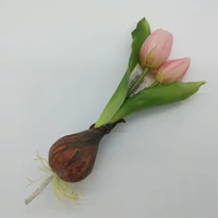 Hagymás gumi tulipán (24 cm)