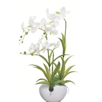 Élethű orchidea (57cm)