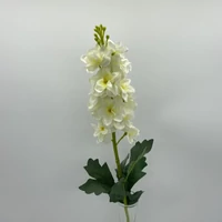 Delphinium (65 cm) TÖBB SZÍNBEN