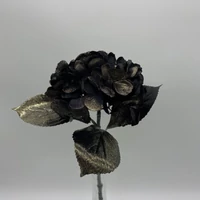 Hortenzia | BLACK GOLD (48 cm)