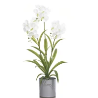 Élethű orchidea - WHITE (67 cm)