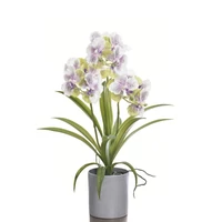 Élethű orchidea - - GREEN VIOLET (50 cm)