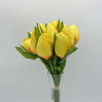 Tulipán köteg | 12 szálas (36 cm) TÖBB SZÍNBEN
