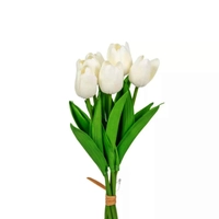 Tulipn köteg | 7 virágos | gumi (35 cm)