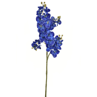 Orchidea - DEEP BLUE (70 cm) 