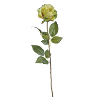Rózsa (70 cm)