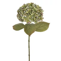 Hortenzia (65 cm) TÖBB SZÍNBEN