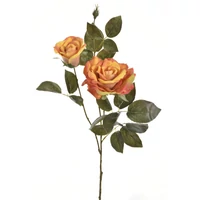 Rózsa (75 cm)