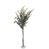 Eukaliptusz csokor (50 cm)