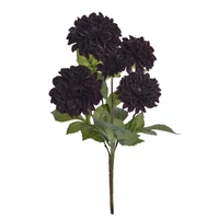 DÁLIA CSOKOR - EGGPLANT (48 cm) 