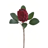 Protea - DR RED (66 cm)