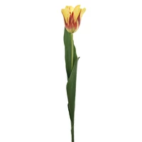 Tulipán (62 cm) TÖBB SZÍNBEN