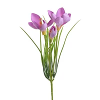 Krókusz (30 cm)