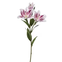 Liliom (76 cm) TÖBB SZÍNBEN