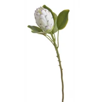 Protea - FEHÉR (68 cm)