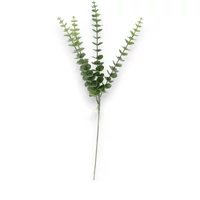 Eukaliptusz ág (84 cm)