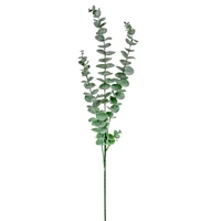 Eukaliptusz ág (75 cm)