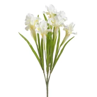 Írisz csokor (68 cm)