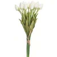Tulipán köteg - CREAM | 20 szál/köteg (40 cm)
