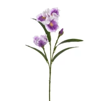 Élethű írisz - WHITE VIOLET (80 cm)