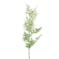 Élethű aszparágusz - GREEN (65 cm)