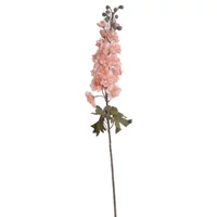 Delphinium (80 cm)