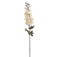Delphinium (80 cm)
