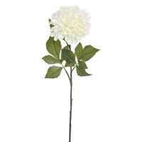 Dália - CREAM (74 cm)