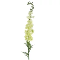 Delfínium - GREEN (133 cm)