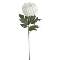 Krizantém (72 cm)