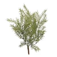 Aszparágusz csokor (43 cm)
