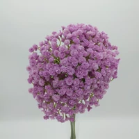Gypsophila (48 cm) TÖBB SZÍNBEN