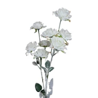 Fehér havas rózsa (70 cm)