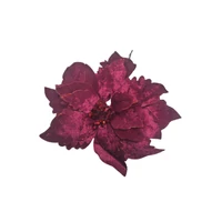 Burgundi mikulásvirág (24 cm)