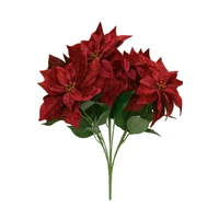 Bordó mikulásvirág csokor (65 cm)