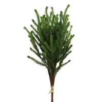 Fenyőág-csokor (50 cm)