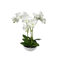 Fehér műorchidea kaspóban (35 cm)