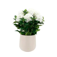 Fehér műhortenzia kaspóban (75 cm)