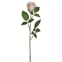 Rózsa (70 cm) TÖBB SZÍNBEN