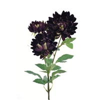 Krizantém (73 cm) TÖBB SZÍNBEN