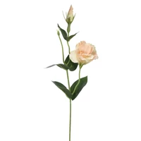 Liziantusz (45 cm)  TÖBB SZÍNBEN