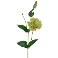 Liziantusz (45 cm)  TÖBB SZÍNBEN