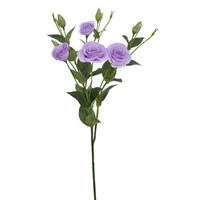 Csokros Liziantusz (76 cm) TÖBB SZÍNBEN