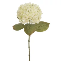 Hortenzia (65 cm) TÖBB SZÍNBEN