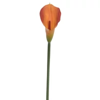 Kála | gumi (72 cm) TÖBB SZÍNBEN