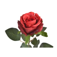 Rózsa (56 cm)