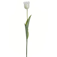 Tulipán - WHITE (50 cm)