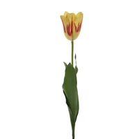 Tulipán (62 cm) TÖBB SZÍNBEN